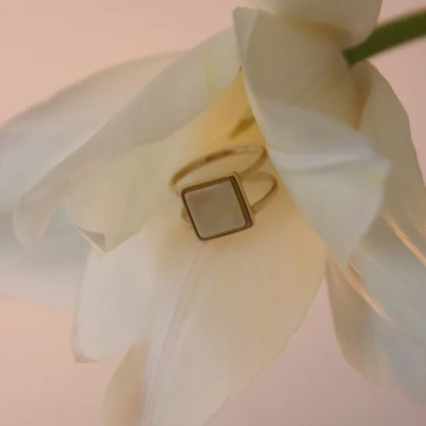 Кольцо серебряное с янтарём R9197ZM SunStone