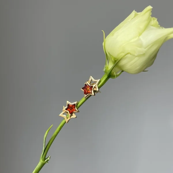 Серебряные серьги с янтарём E10010-2ZK SunStone