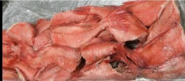 Окунь морской ПБГ. 300-500 гр. 9кг.